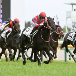【日本ダービー】データ作戦　５月３１日開催で７回中５回で２冠達成