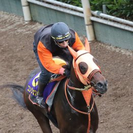 【日本ダービー】オークスに続いて今週も！？　別路線組を要チェック