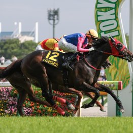 【日本ダービー】オークスに続いて今週も！？　別路線組を要チェック