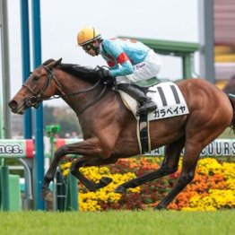 【木津の土曜競馬コラム・葵Ｓ】