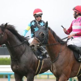 【橘の土曜競馬コラム・アハルテケＳ】