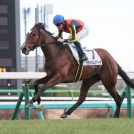 【東京本紙・外山の土曜東京10Ｒ】