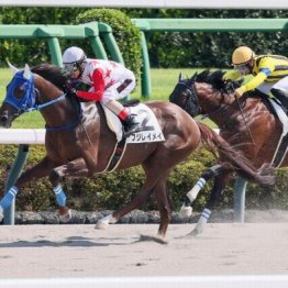【東京本紙・外山の土曜東京12Ｒ】