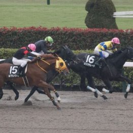 【東京本紙・外山の土曜東京11Ｒ】