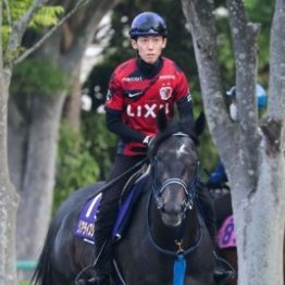 【日本ダービー】出走全馬の特選情報