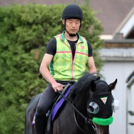 【日本ダービー】出走全馬の特選情報
