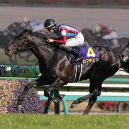 【東京本紙・外山の日本ダービー】