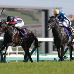 【大谷の日曜競馬コラム・日本ダービー】