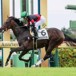 【日本ダービー】◎ライヒスアドラー　前走はコース取りの差　逆転Ｖです