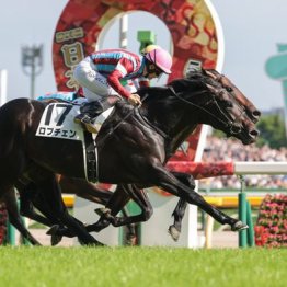 【日本ダービー】ロブチェンがゴール前で頭差抜け出し2冠を達成
