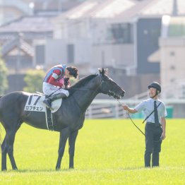 【日本ダービー】「馬を信じて。人馬一体になることができた」 ロブチェンで２冠を達成した松山弘平騎手のインタビュー