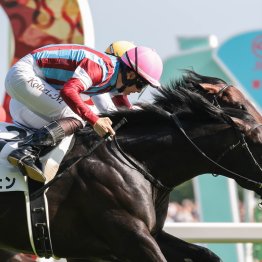 【日本ダービー】「馬を信じて。人馬一体になることができた」 ロブチェンで２冠を達成した松山弘平騎手のインタビュー