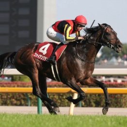 【目黒記念】ファイアンクランツが重賞初制覇