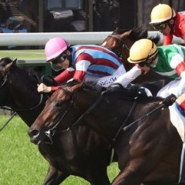 【日本ダービー】ディープの孫世代では初のダービー制覇