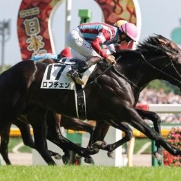【日本ダービー】ロブチェン差し切って２冠達成