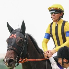 【安田記念】春の古馬マイル王決定戦は多士済々