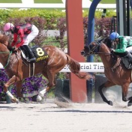 ダービー前日の京都でダートの怪物が