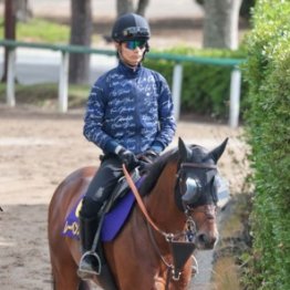 【安田記念】レーベンスティール悲願達成へ
