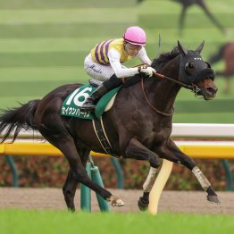 【安田記念】 レコードホルダーにマイルＧⅠ馬 ２頭の東京巧者で挑む橋口厩舎