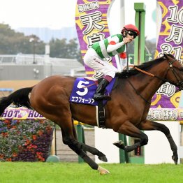 【２０２６年にデビューする新種牡馬紹介】①エフフォーリア　エピファネイアの後継候補