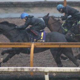 【宝塚記念１週前】クロワデュノール大外から最先着の豪快デモ