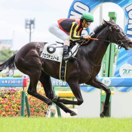 今週から２歳新馬戦がスタート