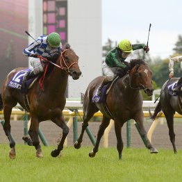 【安田記念】他のＧⅠには見られない　覚えておきたい３つの特徴