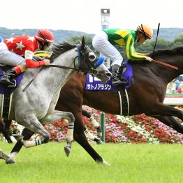【安田記念】データ作戦　穴党は６歳勢を要チェック