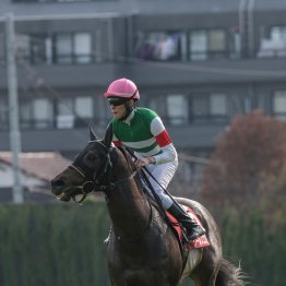 【安田記念】状態はさらに上昇　ワールズエンド本格化ムード