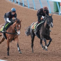 【木津の土曜競馬コラム・東京４Ｒ】