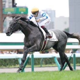 【武田の土曜競馬コラム・稲城特別】