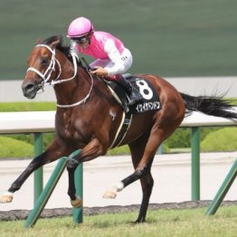 【橘の土曜競馬コラム・垂水Ｓ】