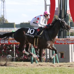【藤岡の土曜競馬コラム・垂水Ｓ】