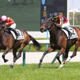 【東京本紙・外山の土曜東京10Ｒ】