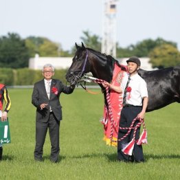 【木津の日曜競馬コラム・安田記念】