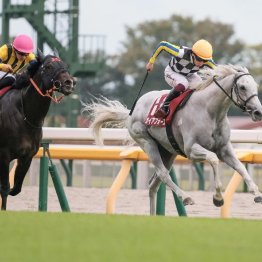 【武田の日曜競馬コラム・安田記念】