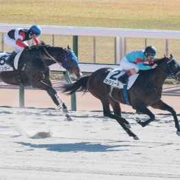 【レスキュー隊の日曜競馬コラム・東京12Ｒ】