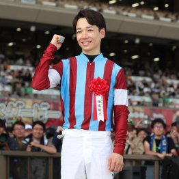【安田記念】◎パンジャタワー　入念なケイコでビルドアップ　古馬マイル王へ