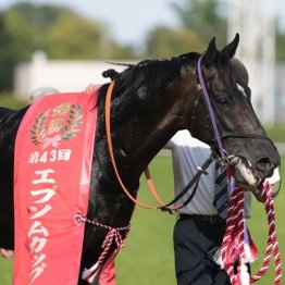 【安田記念】◎トロヴァトーレ　ルメールで万全　○レーベンスティール　折り合って末脚爆発