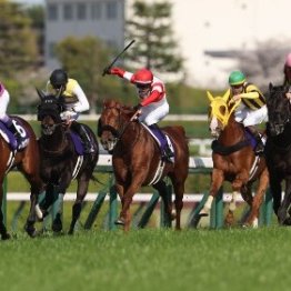 【宝塚記念】春古馬３冠か、連覇か、それとも有馬記念馬のダブルグランプリ制覇か