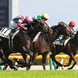 ダービーで話題になった〝手前〟を分かりやすく教えます