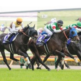 ダービーで話題になった〝手前〟を分かりやすく教えます