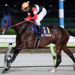 【東京ダービー】フィンガー２冠目も取る