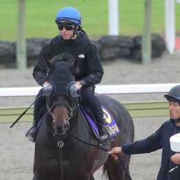 【宝塚記念】ミュージアムマイルぶっつけでも