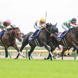 先週の競馬で注目していたキタサン産駒３頭