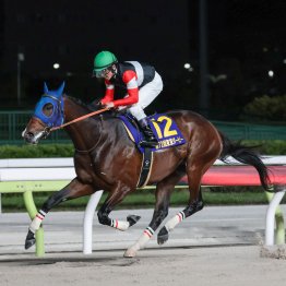 【大井・東京ダービー】フィンガー厳しい先行争いを制して２冠達成