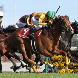 【宝塚記念】名馬も勝っている一方で、実に多いオンリーワンのＧⅠ勝ち