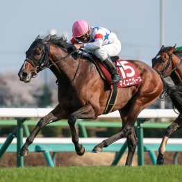 【宝塚記念】名馬も勝っている一方で、実に多いオンリーワンのＧⅠ勝ち