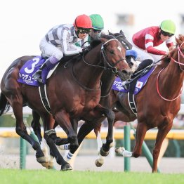 【宝塚記念】名馬も勝っている一方で、実に多いオンリーワンのＧⅠ勝ち