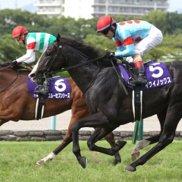 【宝塚記念】データ作戦　春のグランプリは〝東風〟が吹く